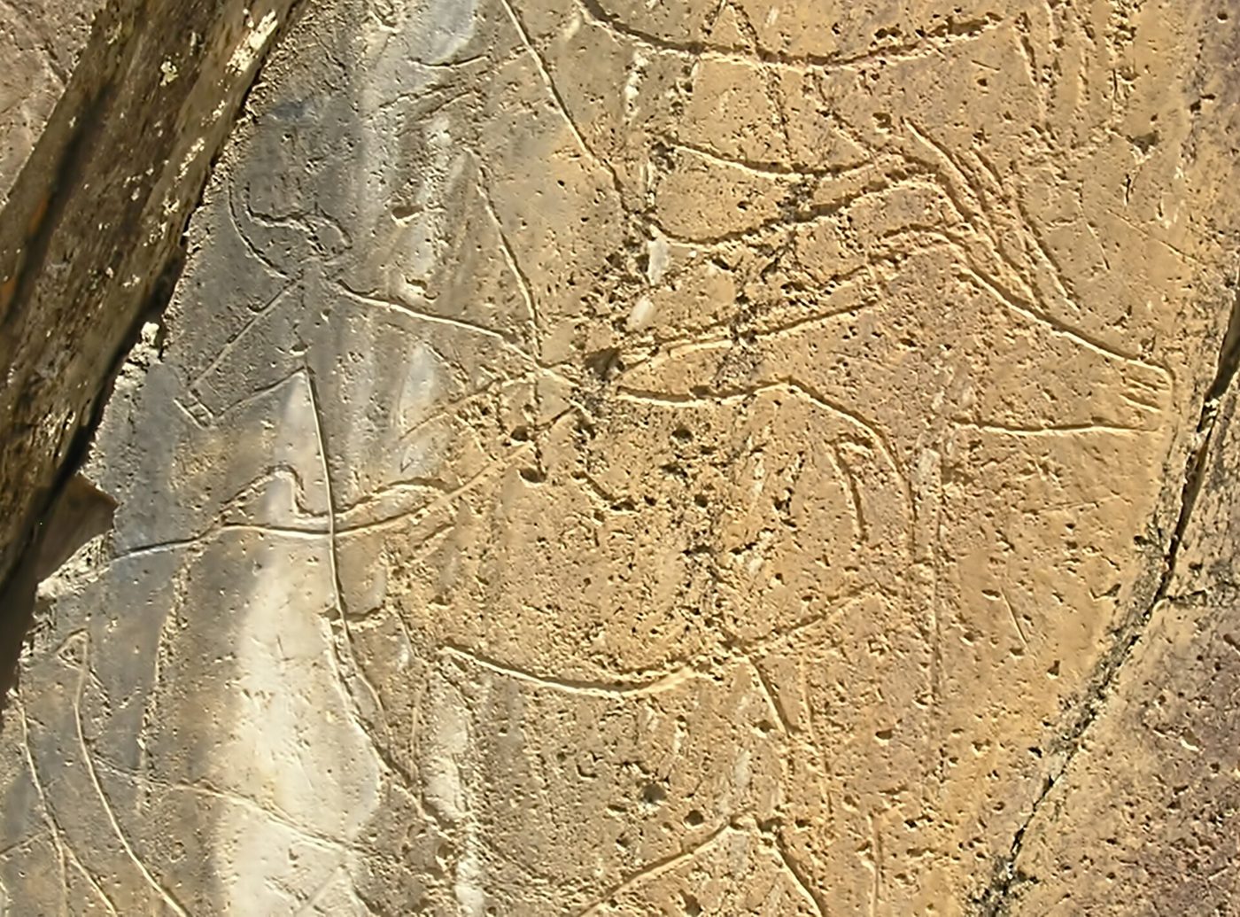 Vallée du Côa