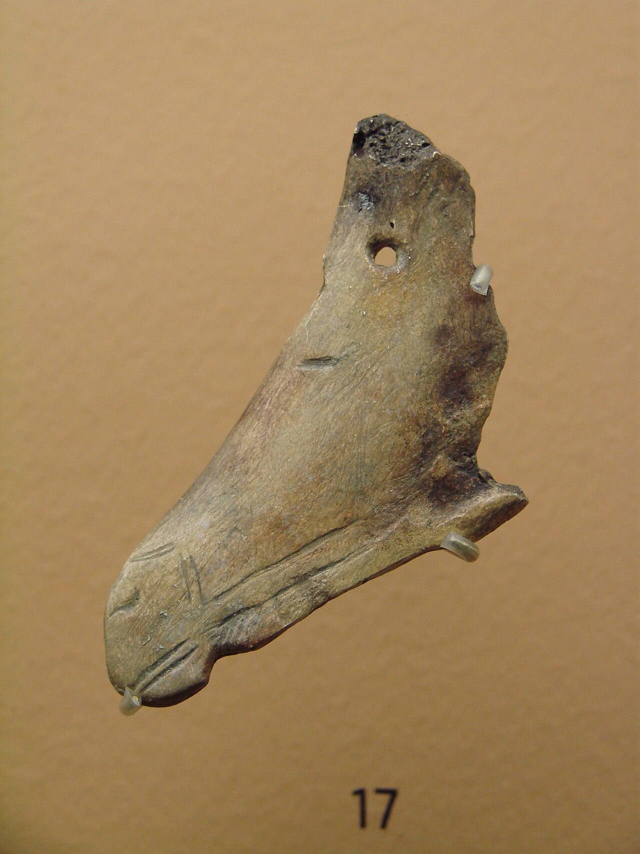 Contour découpé, tête de cheval