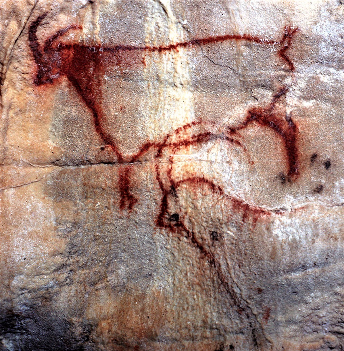 Grotte de Cougnac