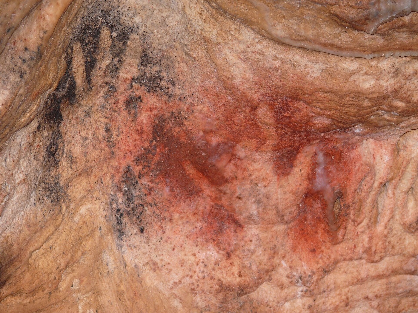 Grotte de Gargas