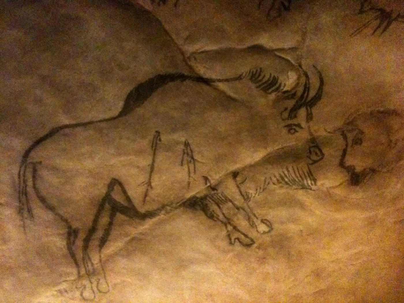 Grotte de Niaux