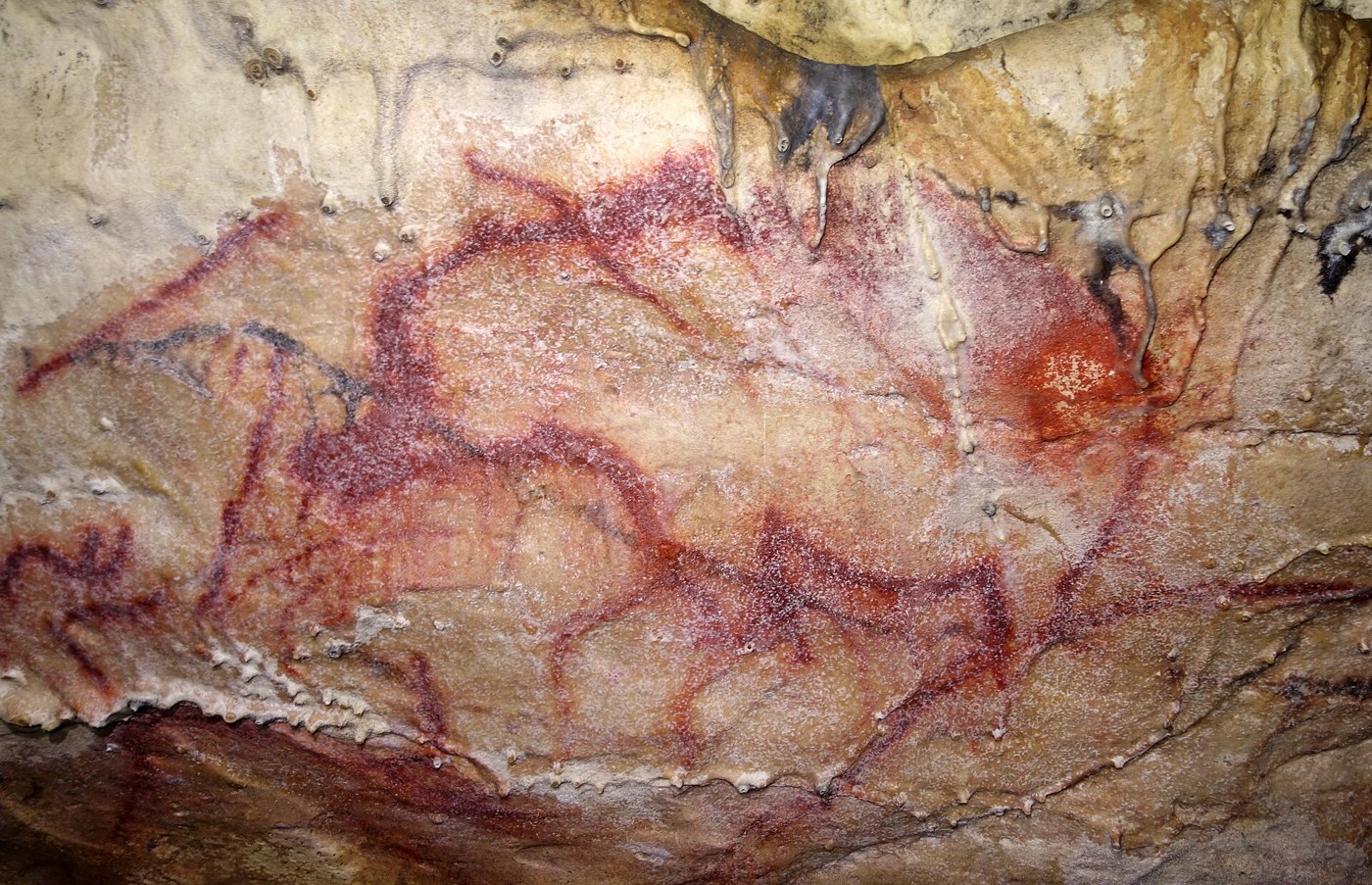 Grande Grotte d'Arcy-sur-Cure