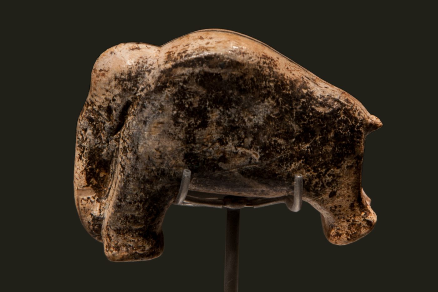 Mammouth du Vogelherd