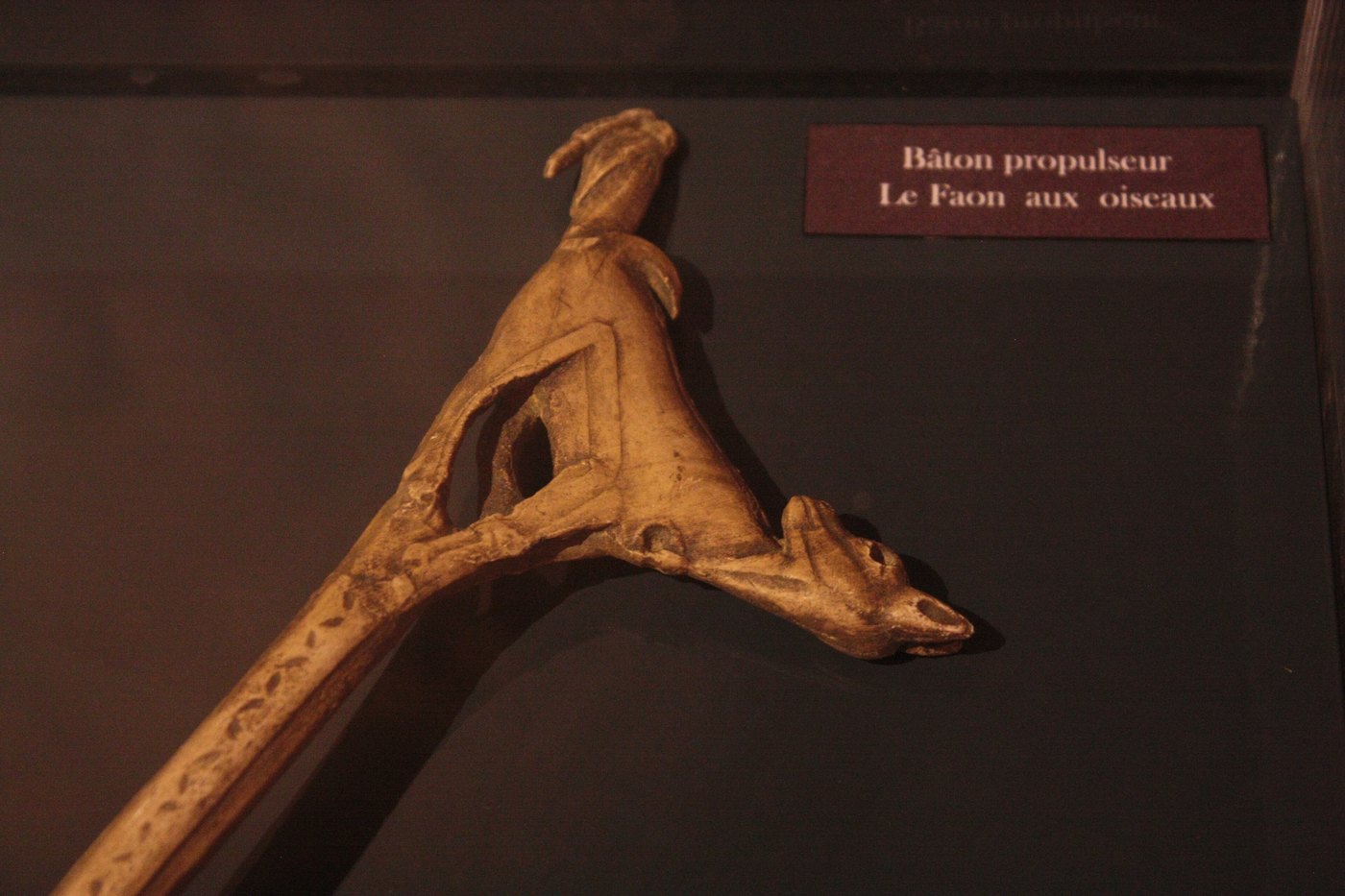 Propulseur « faon aux oiseaux »