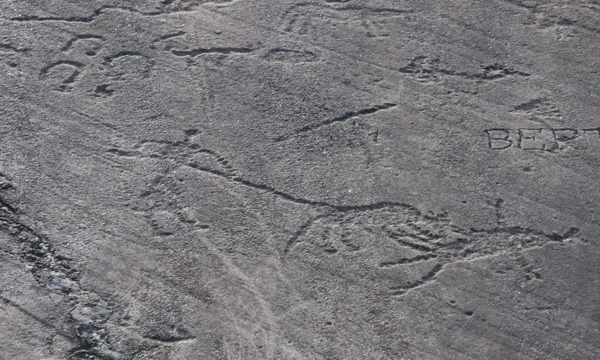 espace-des-gravures-rupestres-d-aussois