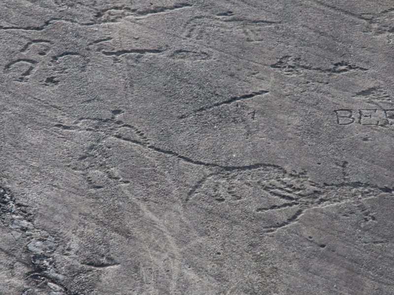 espace-des-gravures-rupestres-d-aussois