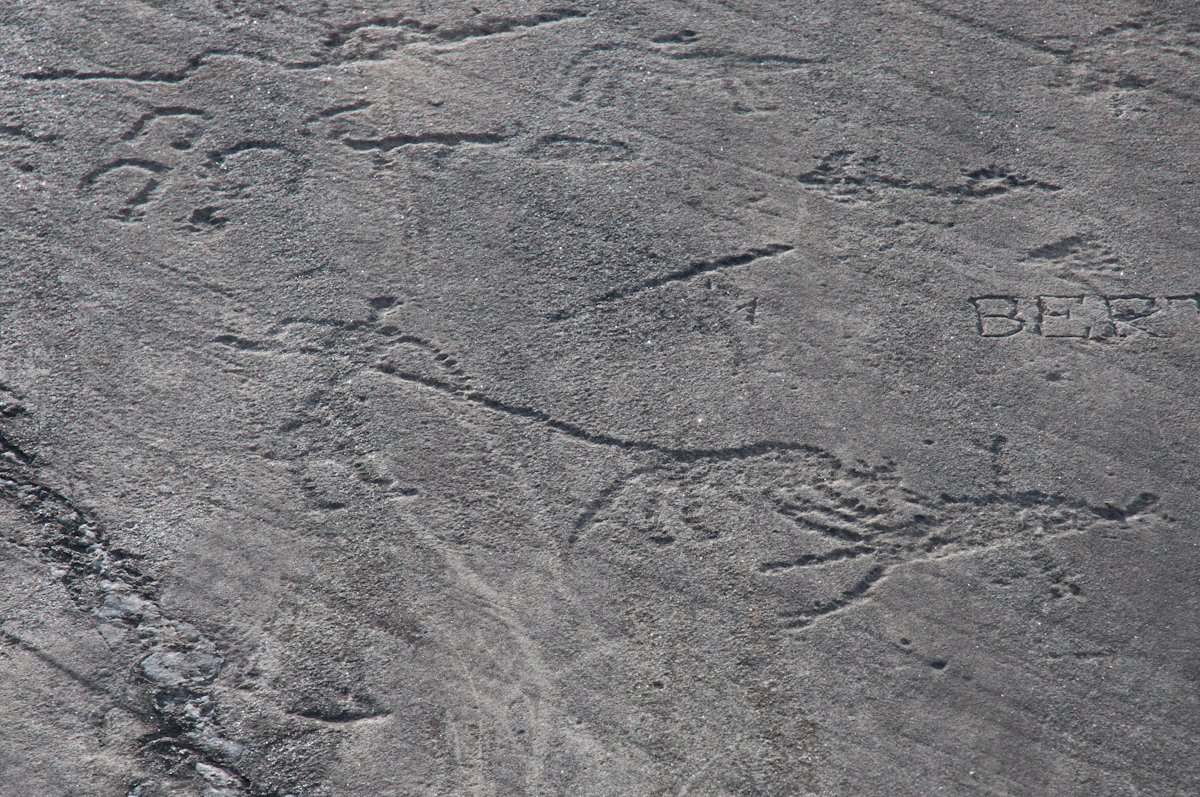 espace-des-gravures-rupestres-d-aussois