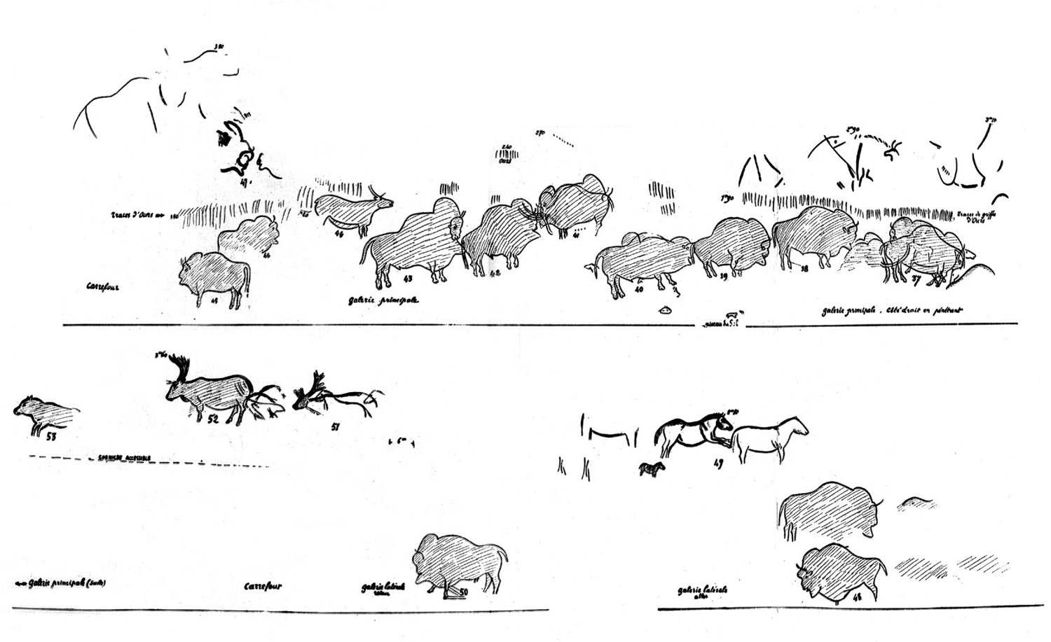 Relevés des fresques (planche ancienne)