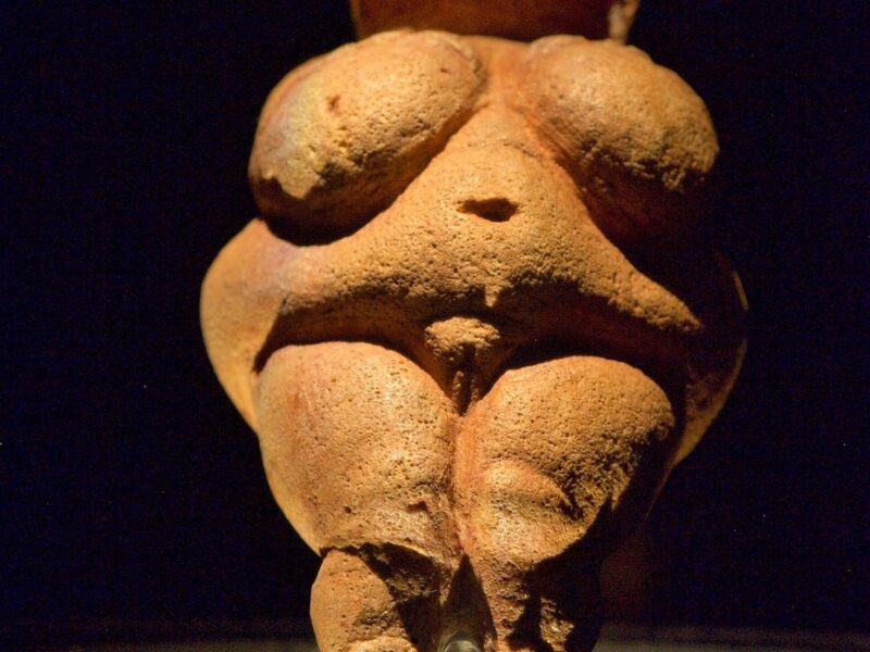 Vénus paléolithiques : que nous disent vraiment ces figurines de femmes ?