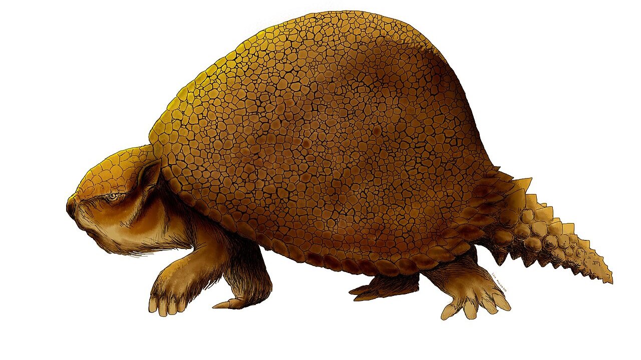 Glyptodon