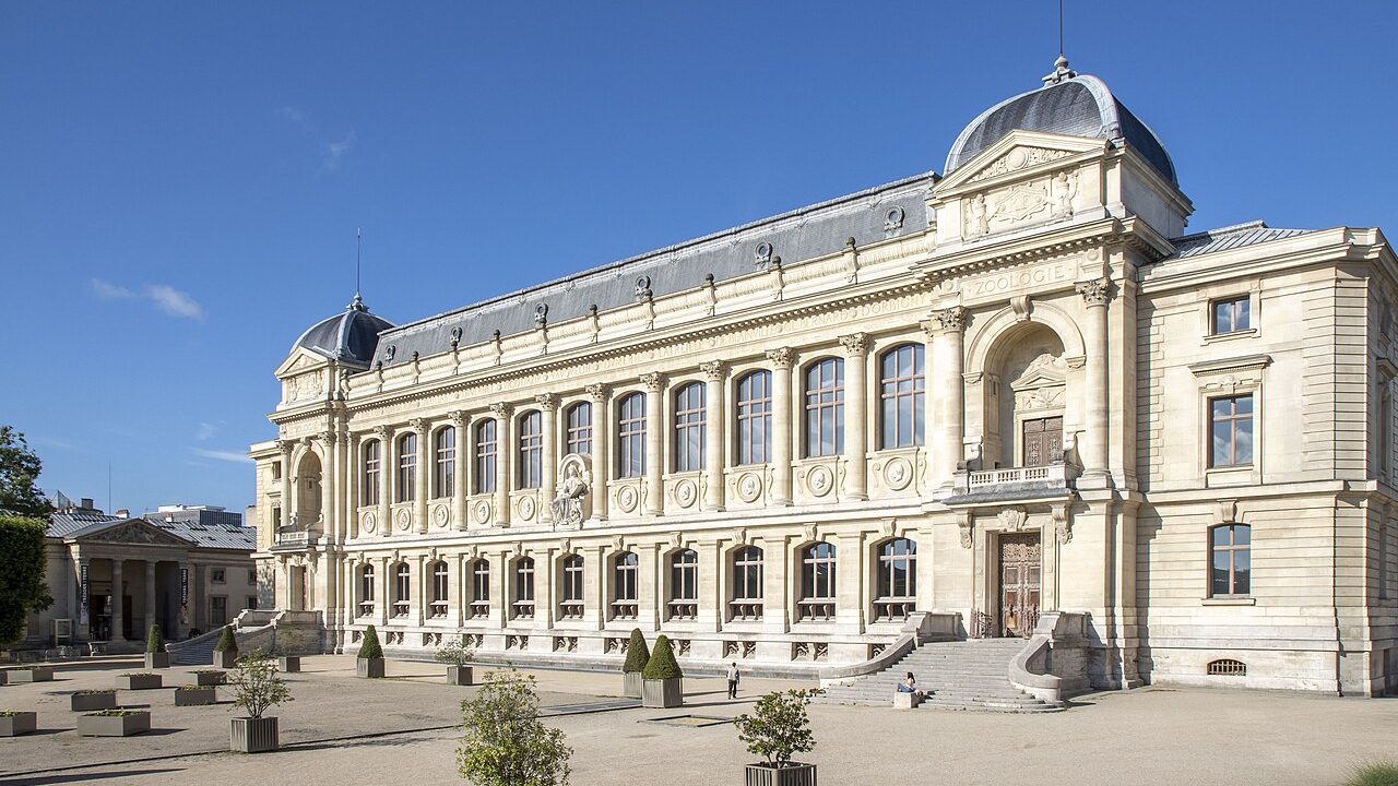 grande-galerie-de-l-volution