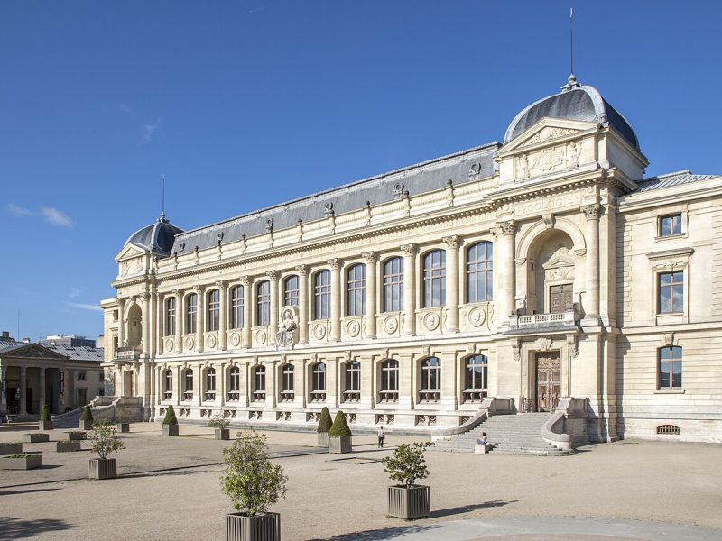 Grande galerie de l’évolution