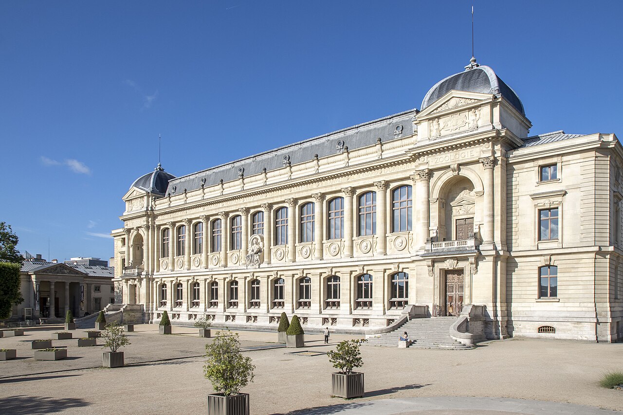 grande-galerie-de-l-volution