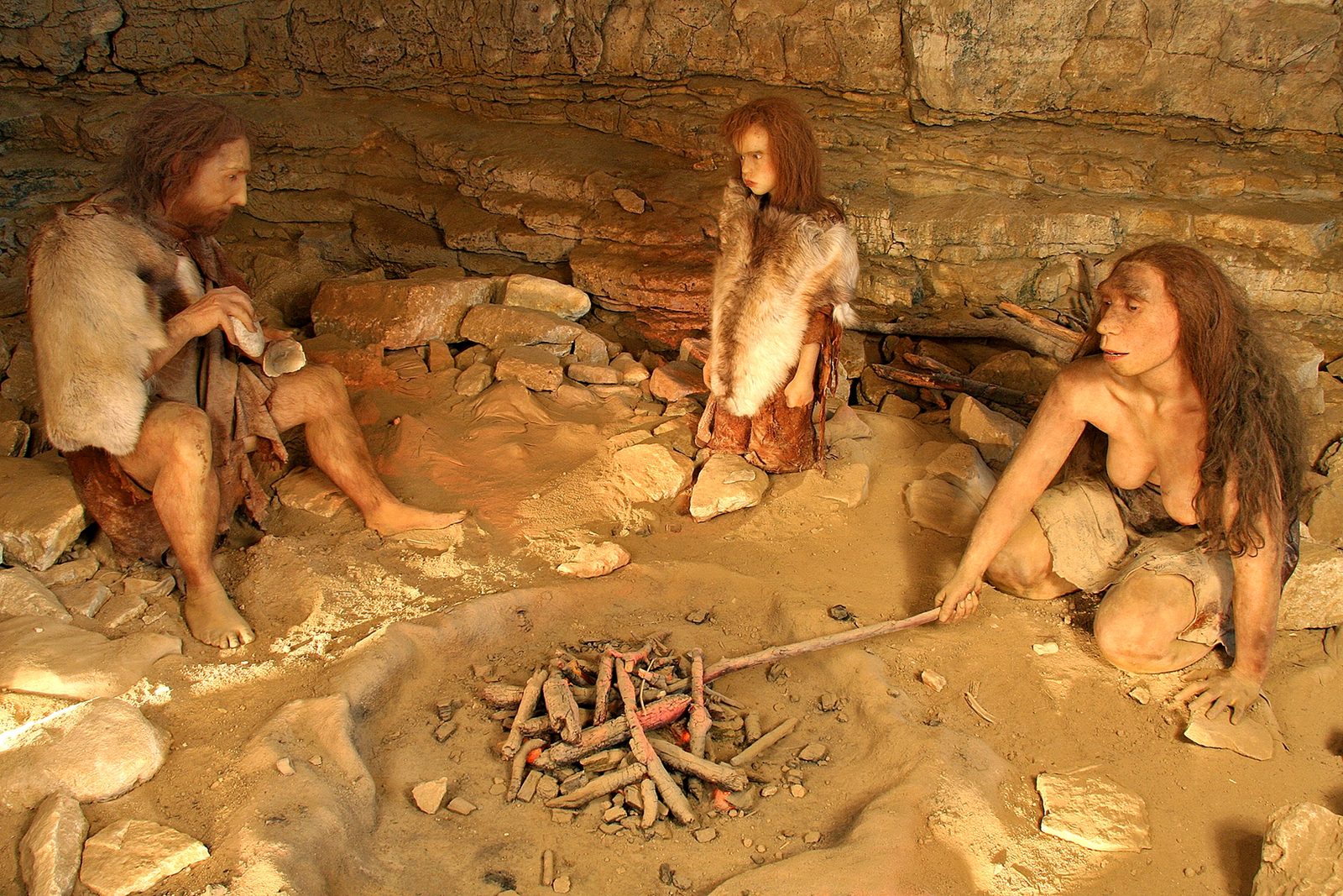 Concrétions de calcaire sculptées par les eaux d’infiltration, grottes de Soyons