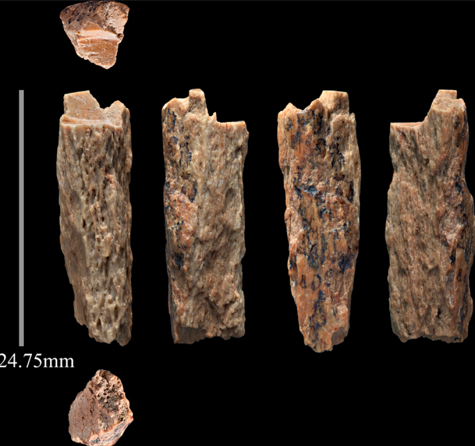 Fragment d’os Denisova 11