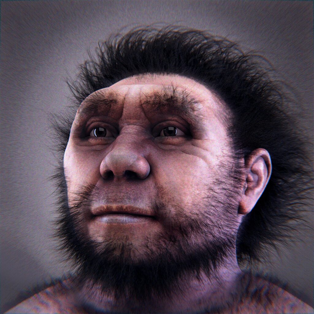 Reconstitution numérique du visage de l’homme de Pékin