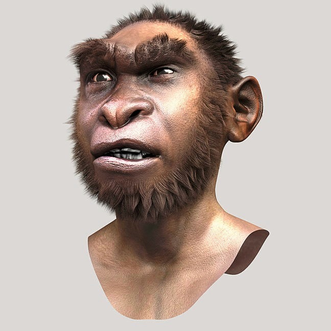 Reconstitution du visage du Garçon de Turkana