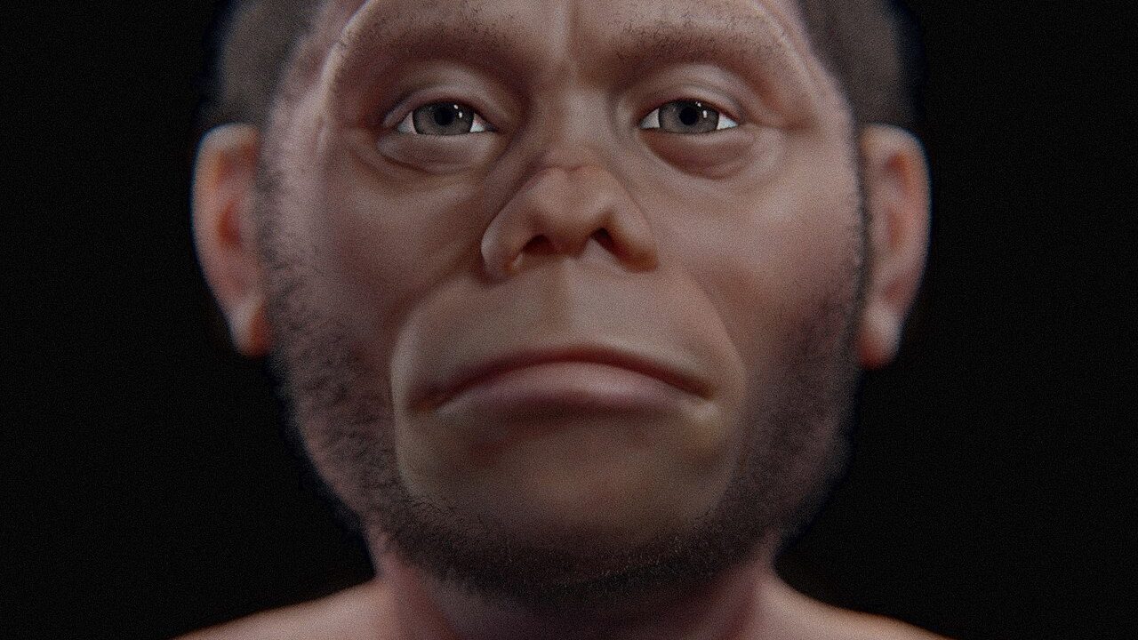 Reconstitution faciale d’Homo floresiensis