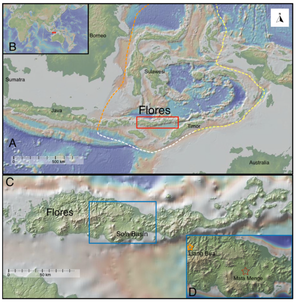 Carte de Florès situant Mata Menge