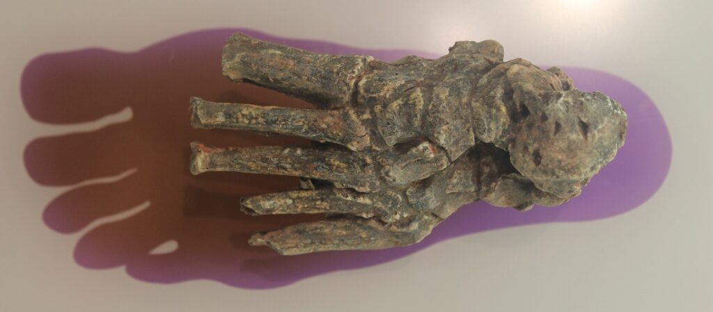 Moulage du pied OH 8
