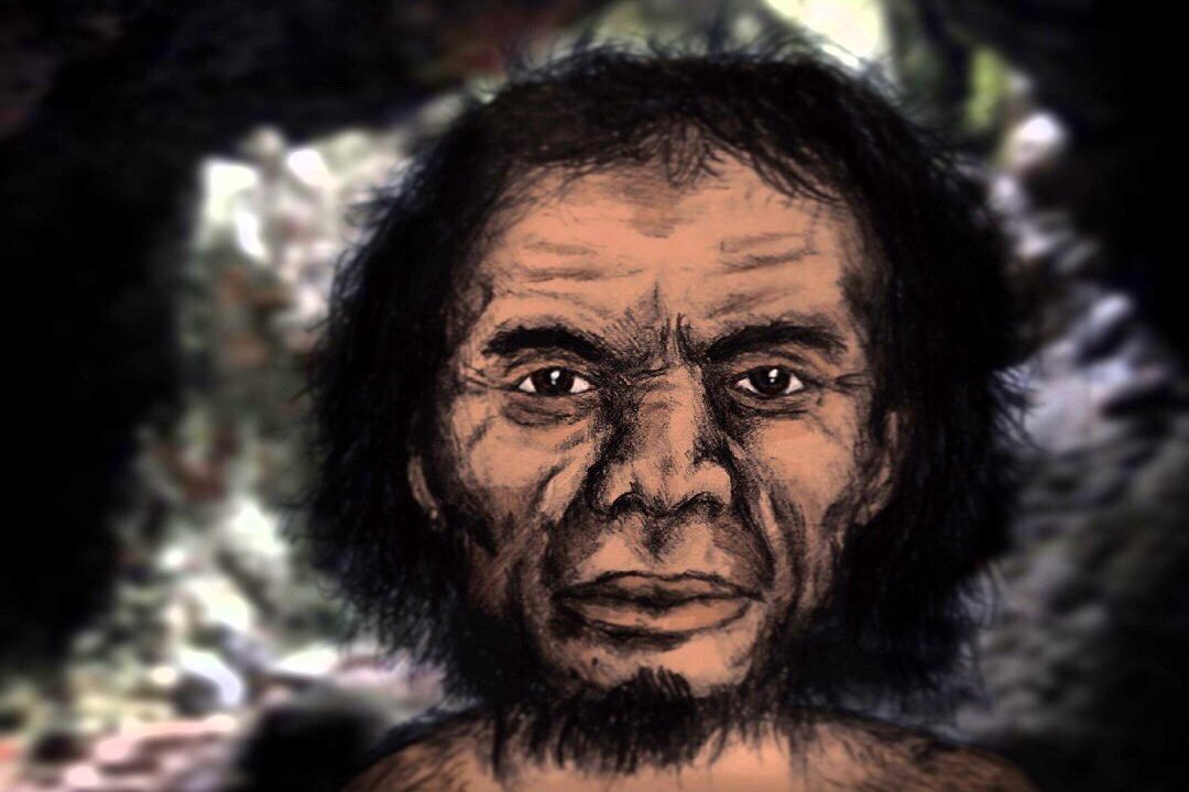 Homo luzonensis