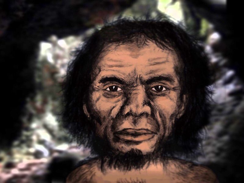 homo-luzonensis
