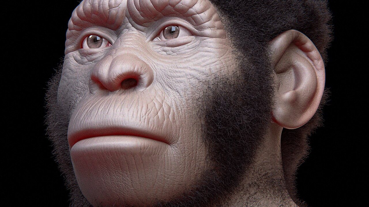 Homo naledi