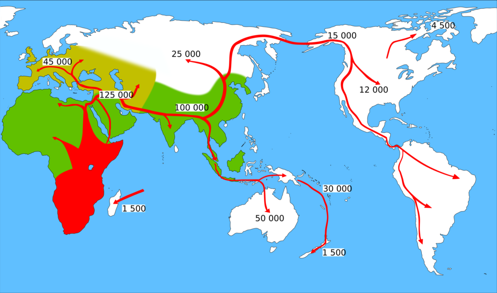 Carte du monde avec les routes de dispersion d’Homo sapiens