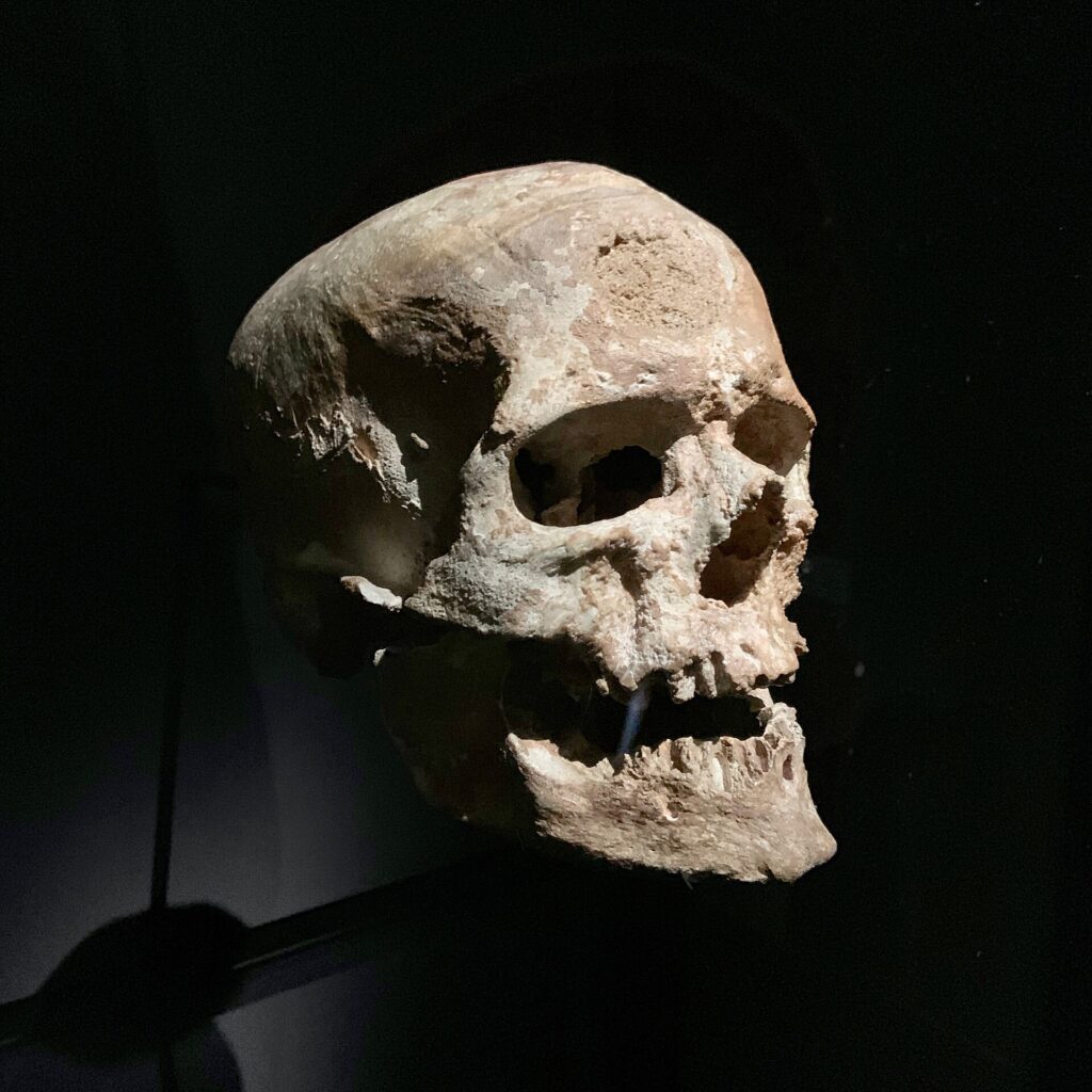 Crâne original de Cro-Magnon 1 sur fond noir