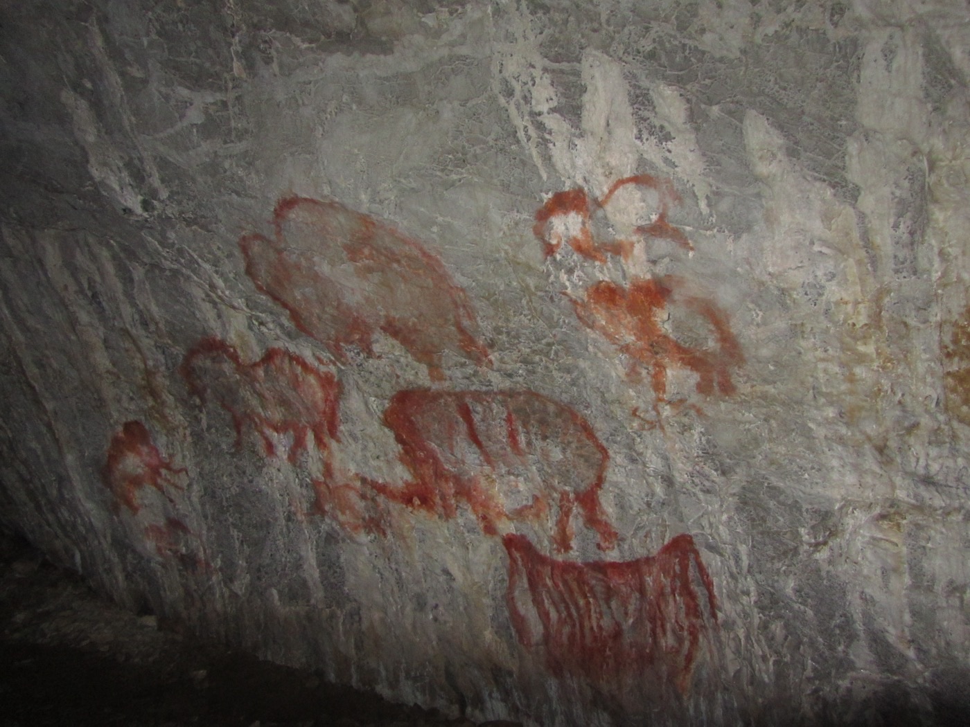 Panneau de reproductions des dessins de la grotte de Kapova