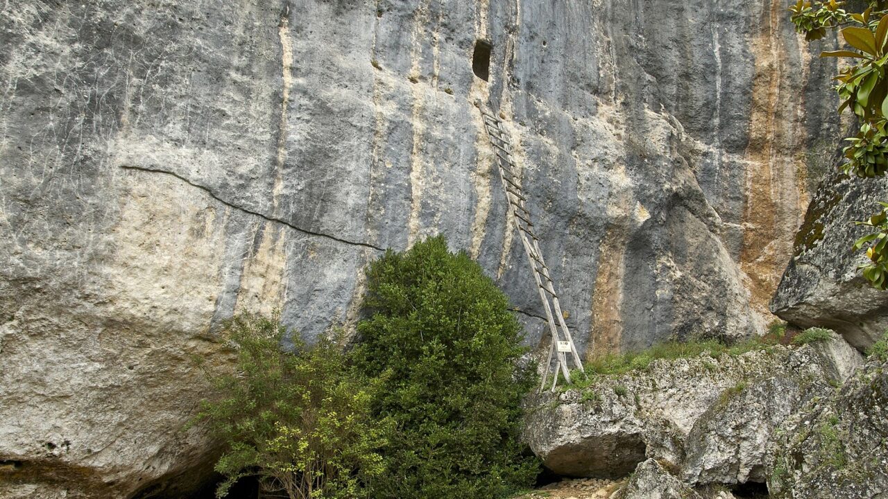 Abris de Laugerie-Basse (photo du lieu)