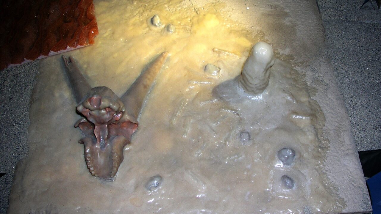 Chauvet 2 – Grotte (photo du lieu)