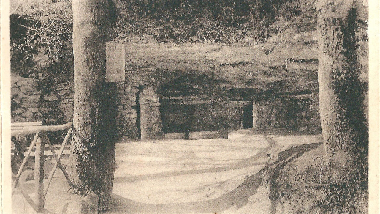 Grottes d'Arcy-sur-Cure (La Grande Grotte) (photo du lieu)