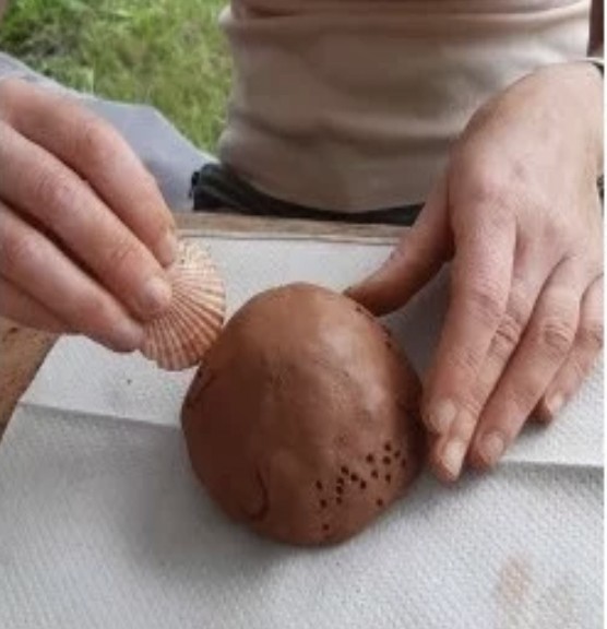 Décoration d’une poterie néolithique au coquillage