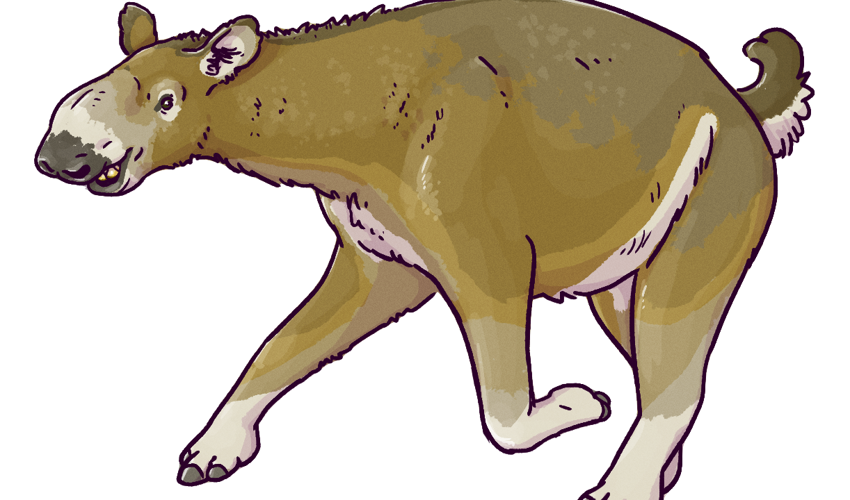 Macrauchenia