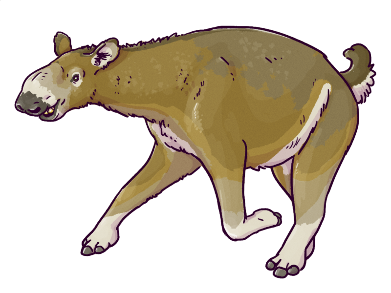 Macrauchenia