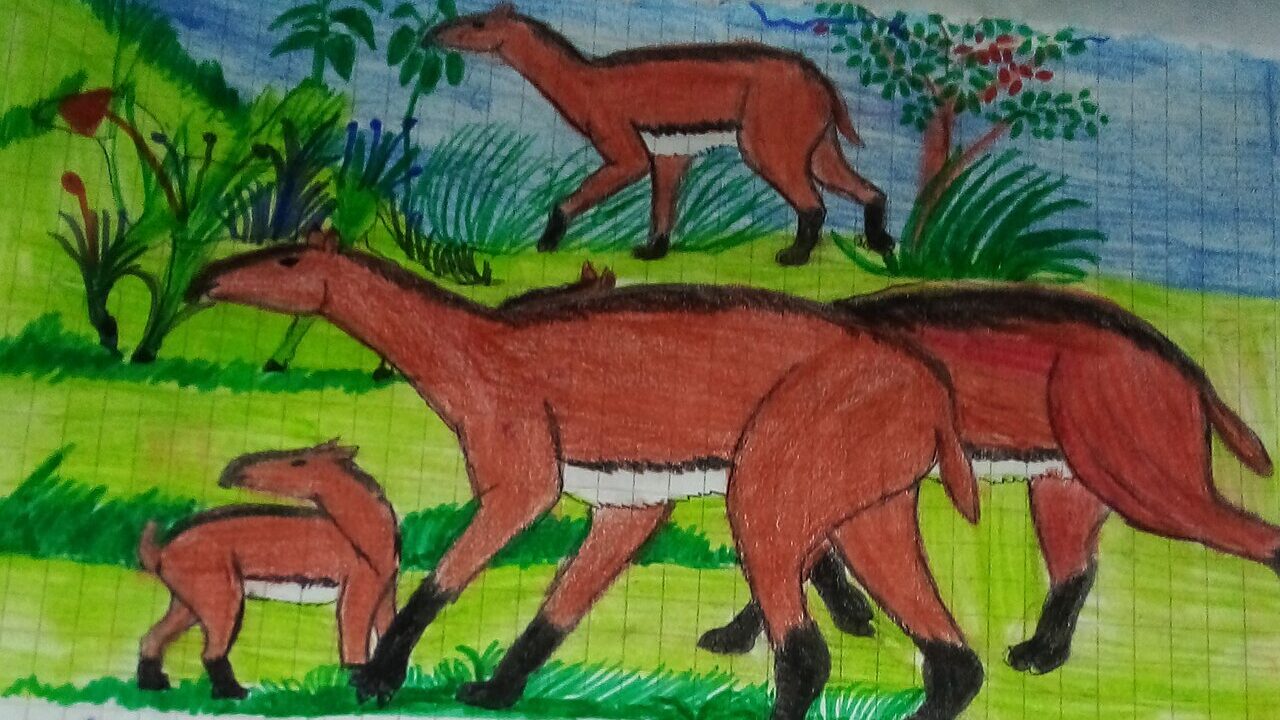 Illustration ancienne.