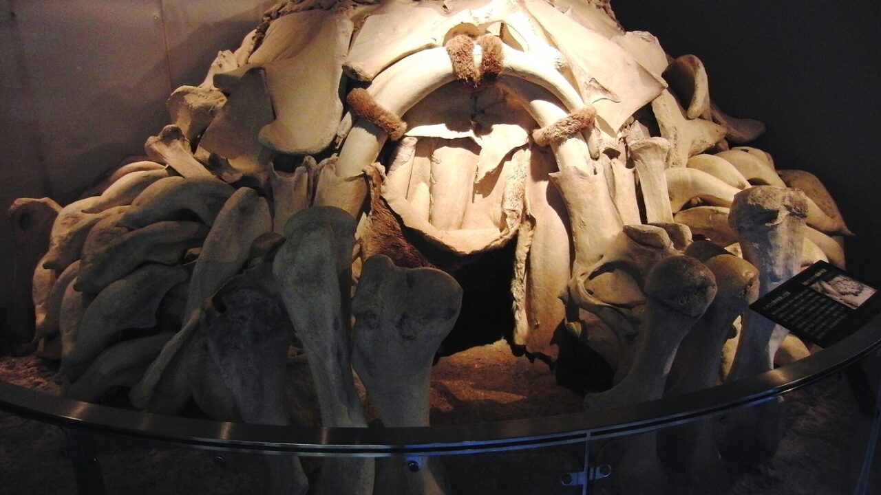 Où vivaient les hommes préhistoriques ? Grottes, huttes et campements