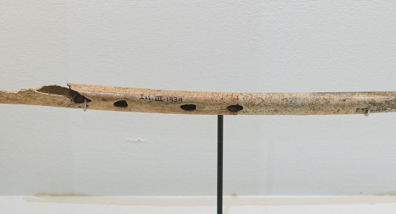La plus vieille musique du monde : les premiers instruments