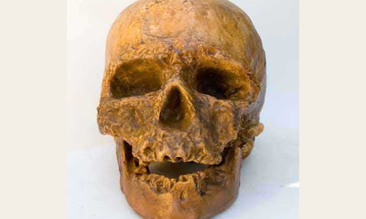 Moulage : Cro Magnon Femme Les Eyzies