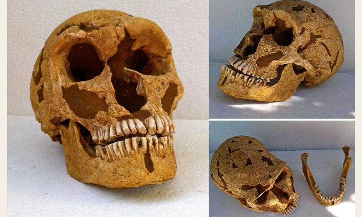Moulage : neandertal homme de la Ferrassie