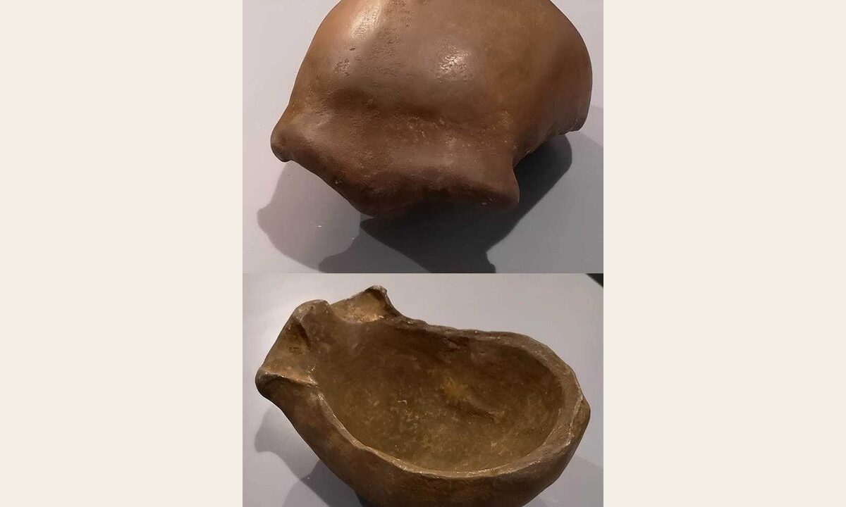 Moulage de Calotte cranienne de la vallée de Néander