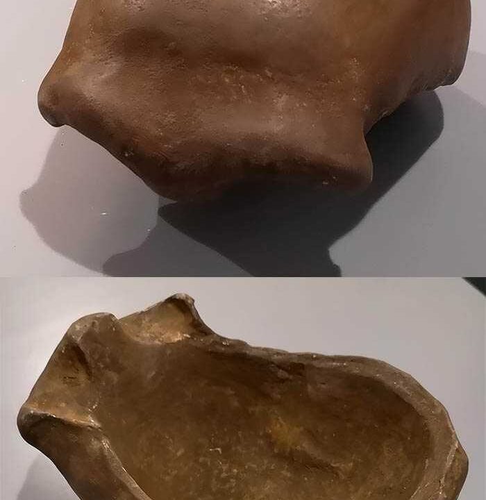 Moulage de Calotte cranienne de la vallée de Néander