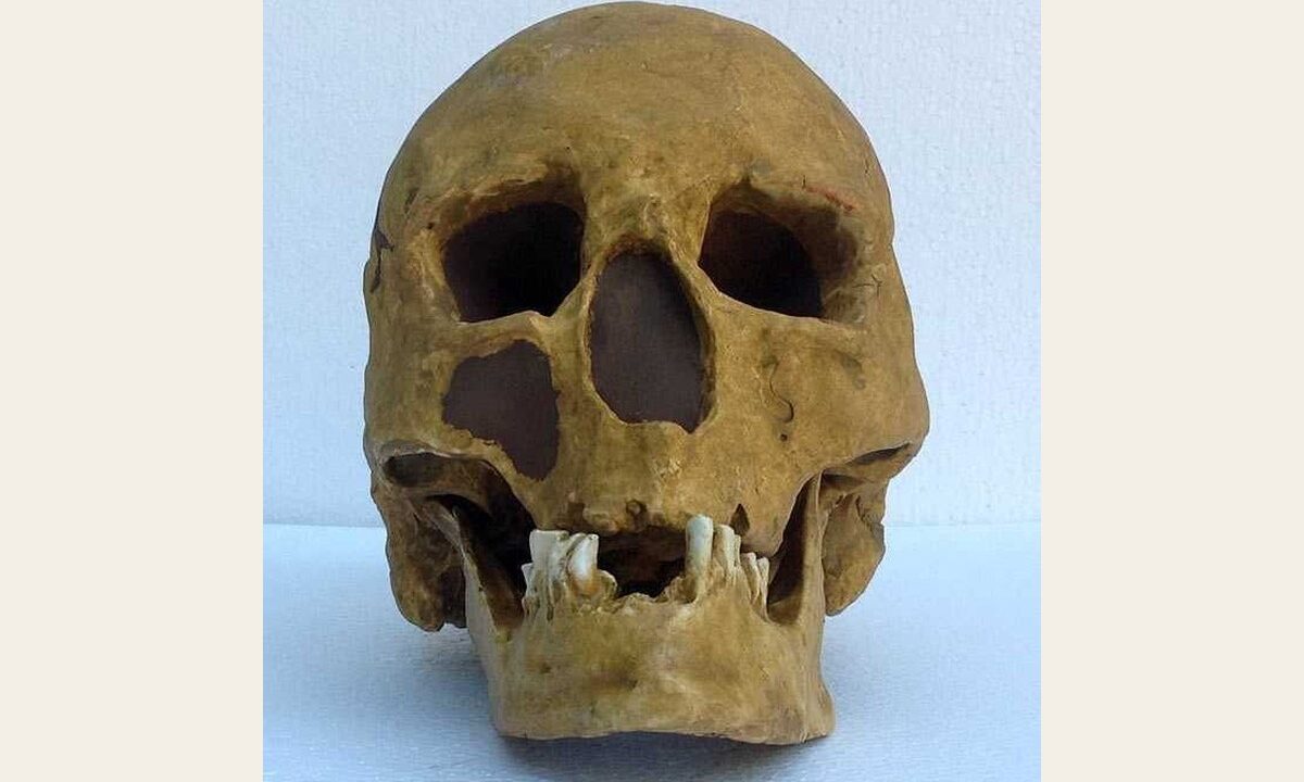 Moulage de Homo sapiens Chancelade