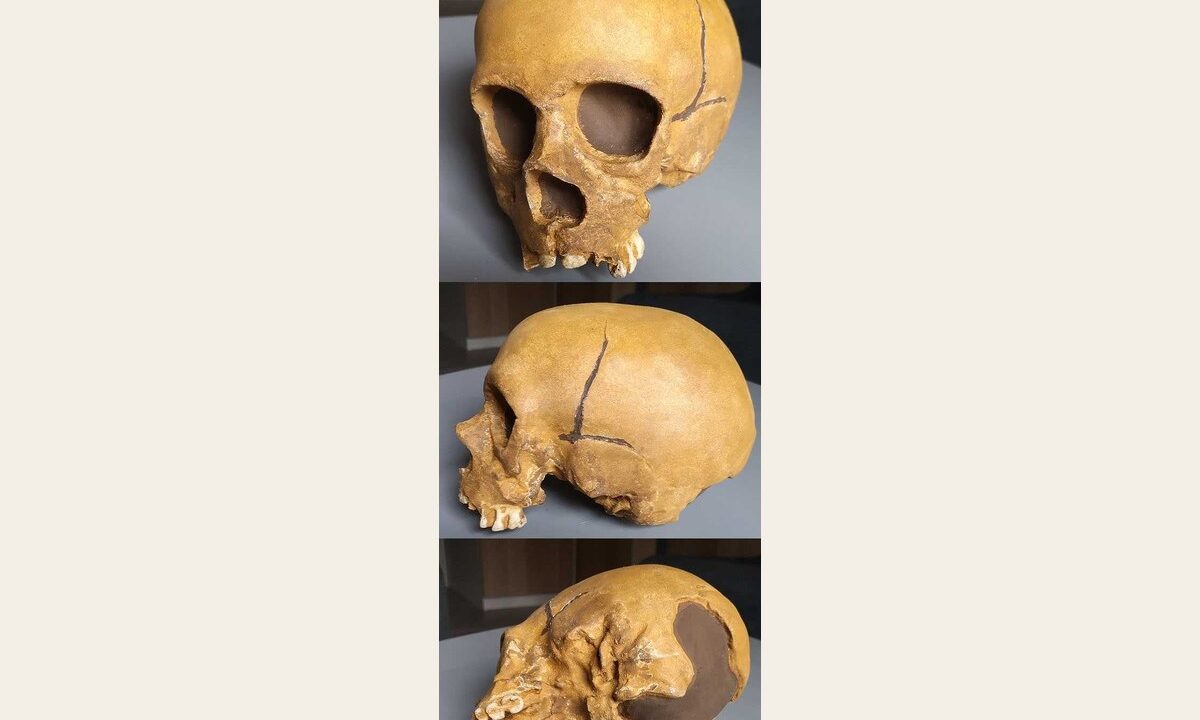 Moulage de Crane Neandertal enfant La Quina 18