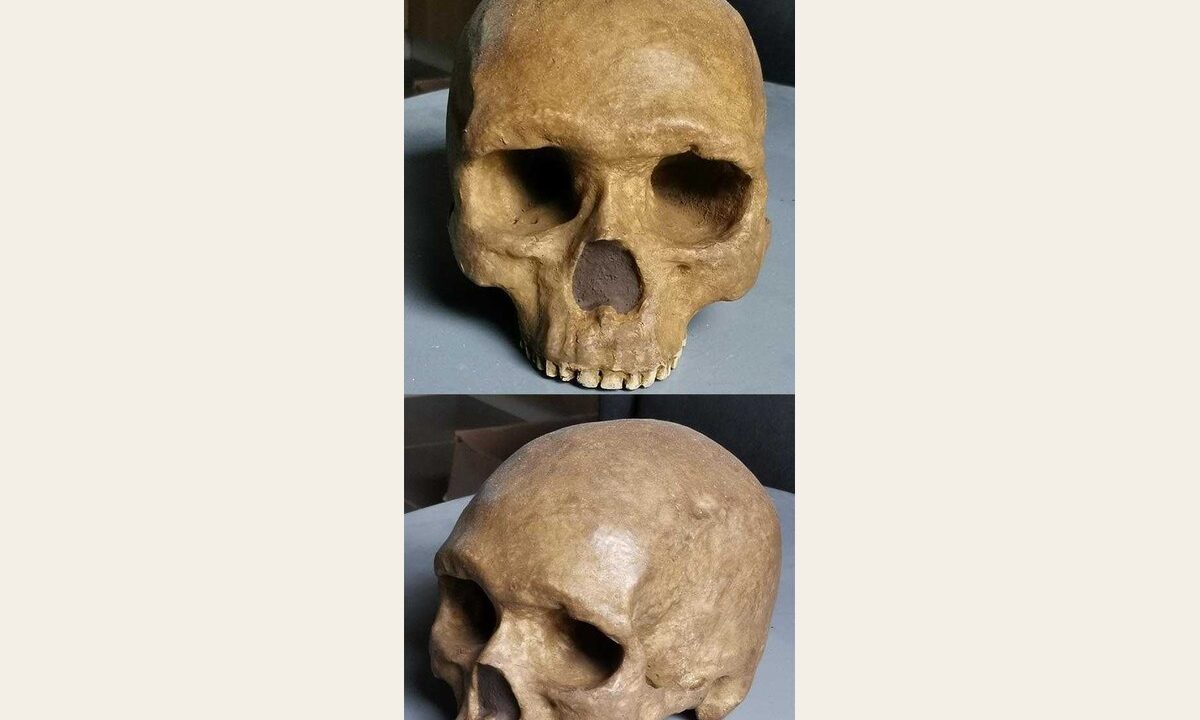 Moulage de Homo sapiens Zhoukoudian 101