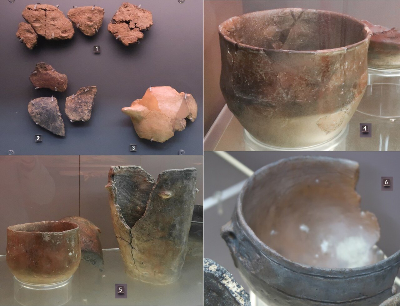 Vitrine de céramiques néolithiques exposées au musée des Tumulus de Bougon.