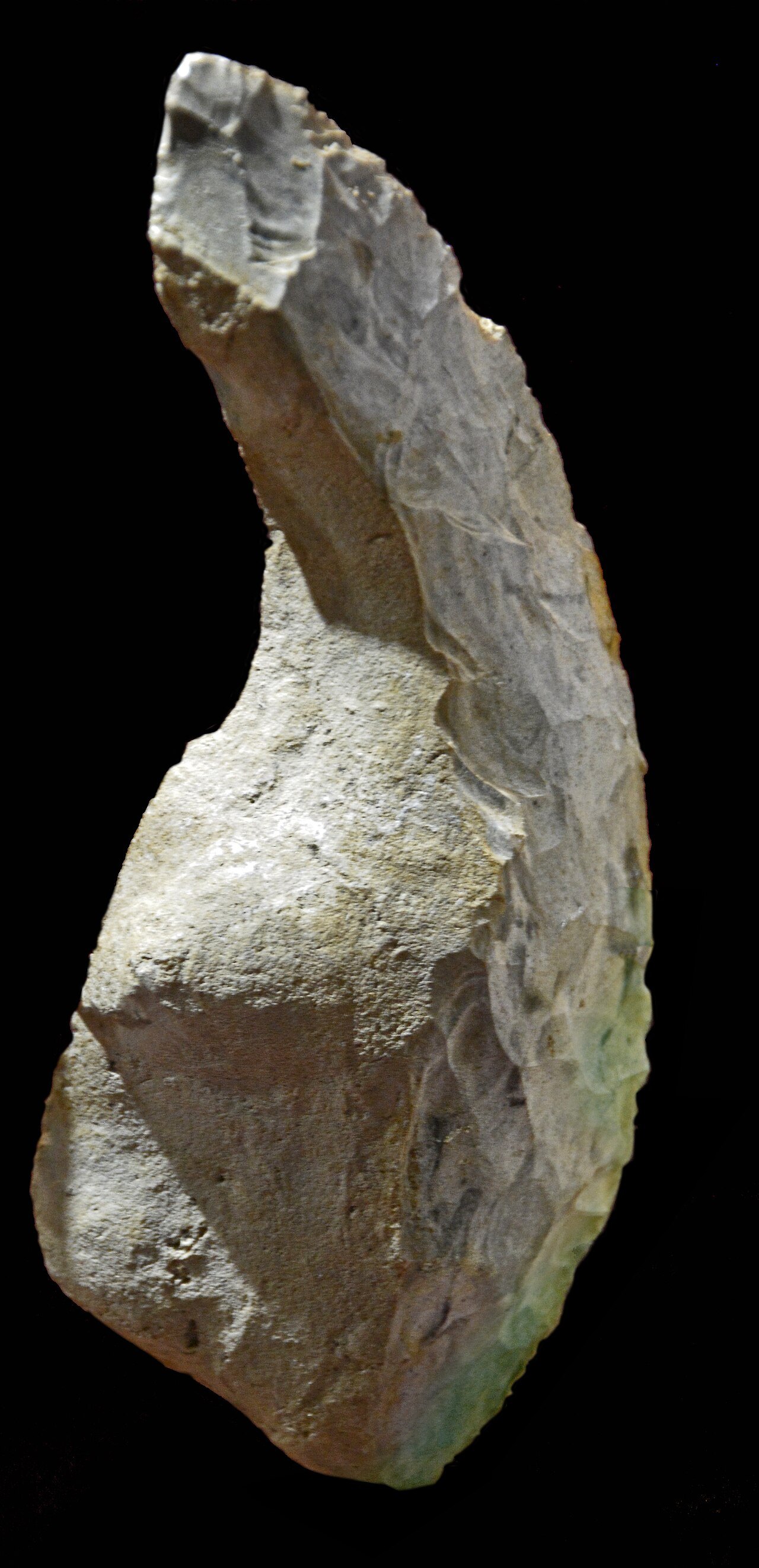 Silex taillé (racloir), pièce de la collection de préhistoire du musée d'Angoulême.