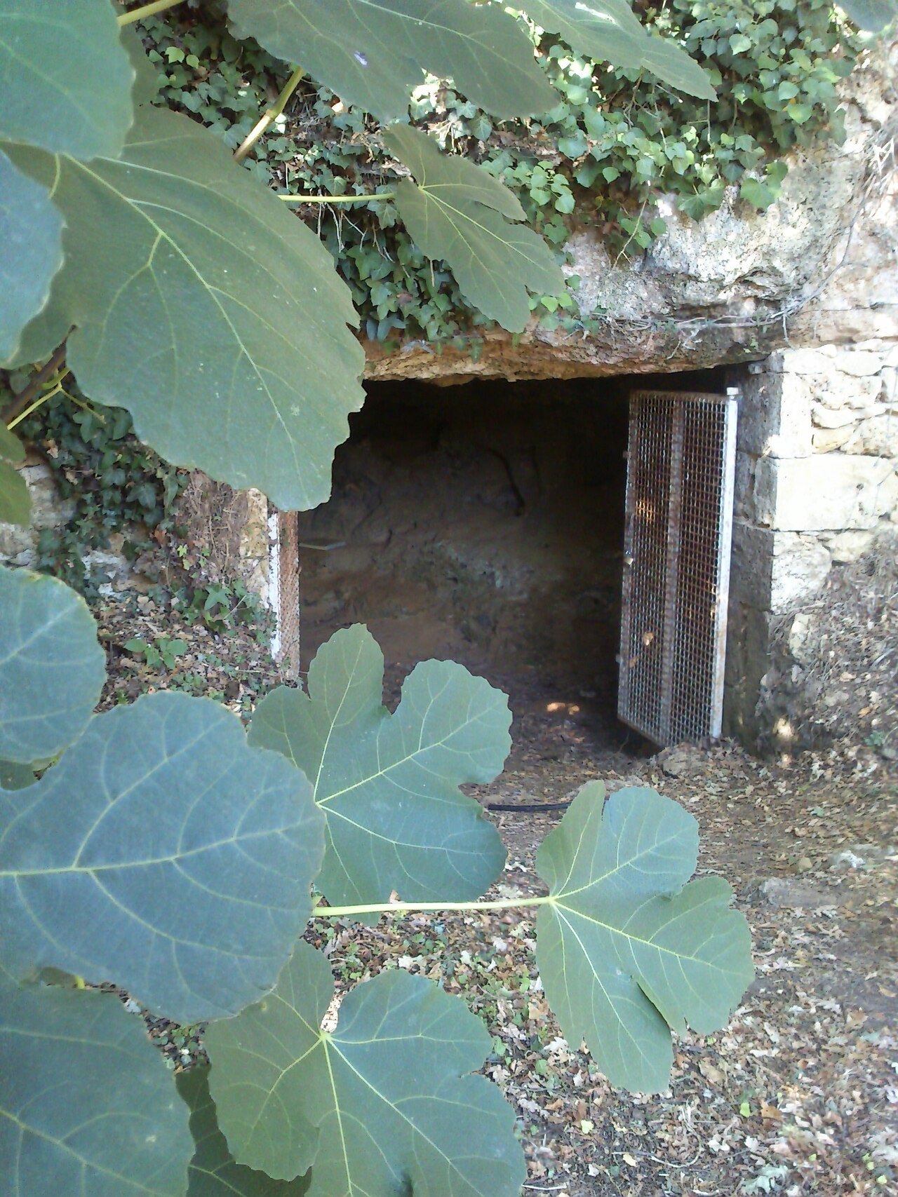Entrée de la grotte de La Marche, site préhistorique magdalénien à Lussac-les-Châteaux (Vienne).