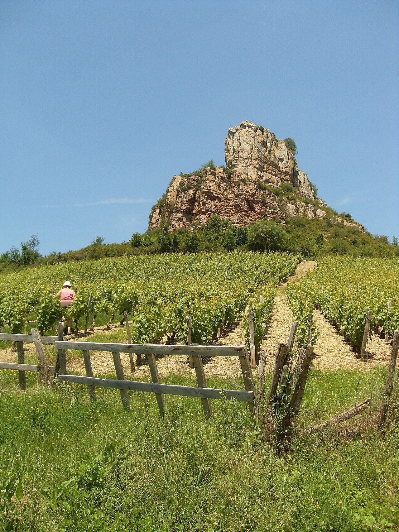 La Roche de Solutré vue depuis l'ouest, avec les vignes au pied du site archéologique (Saône-et-Loire).